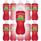 Tahitian Treat, Fruit Punch Soda, 20 Fl Oz Bottle (Pack of 12, Total of 240 Fl Oz)