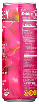 Odyssey Mushroom Elixir Dragon Fruit Lemonade Sparkling Mushroom Elixir, 12 FZ