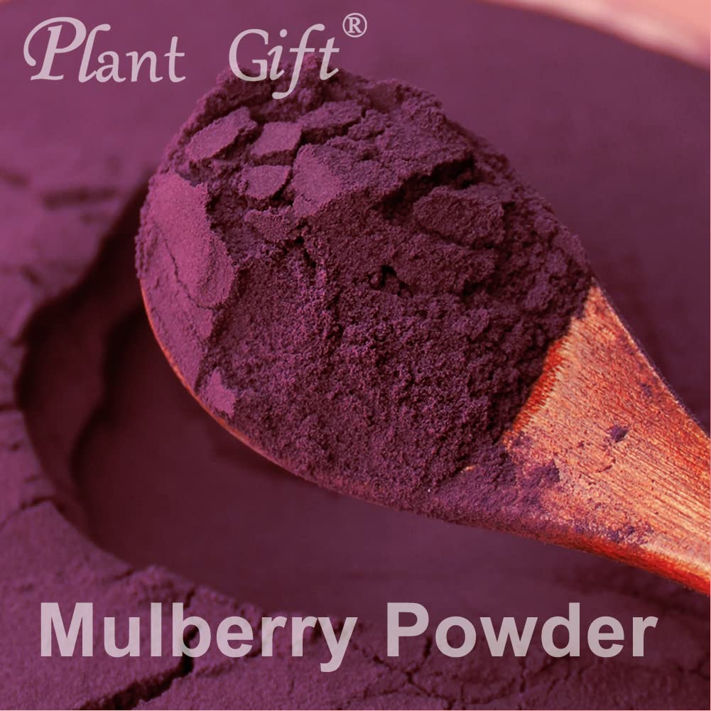 Plant Gift 100% Pure Mulberry Powder ??? Natural, Great Flavor for Drinks, Smoothie and Beverages, Non-GMO Powder - No Filler, No additives, Yogurt