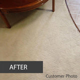Quality Chemical Brown Out Carpet Stain Remover/Carpet Cleaner Solution for Machine/Carpet Cleaning Solution/Rug Shampoo Cleaner/Rug Shampoo - 128 oz