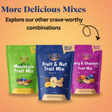 Platinum Berry & Chocolate Trail Mix 22 oz | Resealable Bag | Sweet & Savory Blend with Peanuts, Raisins, Berries & Candy-Coated Gems | Colorful Snack