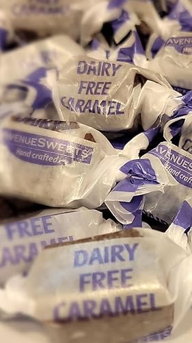 AvenueSweets - Handcrafted Organic Dairy Free Vegan Individually Wrapped Soft Caramels - 1 lb Box - Sea Salt Chocolate