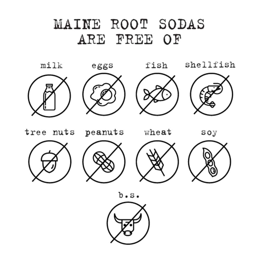 Maine Root Soda - Fair Trade Craft Soda in Glass Bottles (Blueberry 12 Pack)