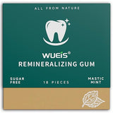 Remineralizing Gum with Hydroxyapatite & Xylitol for Enamel Support - Sugar Free Chewing Gum for Fresh Breath - Natural Spearmint Flavor, 18 Pieces