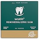 Remineralizing Gum with Hydroxyapatite & Xylitol for Enamel Support - Sugar Free Chewing Gum for Fresh Breath - Natural Spearmint Flavor, 18 Pieces
