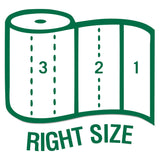 Seventh Generation 13739PK 100% Recycled Paper Towel Rolls, 2-Ply, 156 /RL, 8 RL/PK