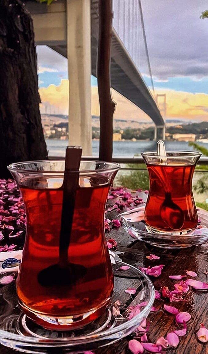 Turkish Tea, Black Tea, Gourmet Tea,Organic Tea Black Tea Iced or Hot Tea Caffeinated Black Tea 100 Tea Bags, Turkish Organic Black Tea,Çay By Do?u?