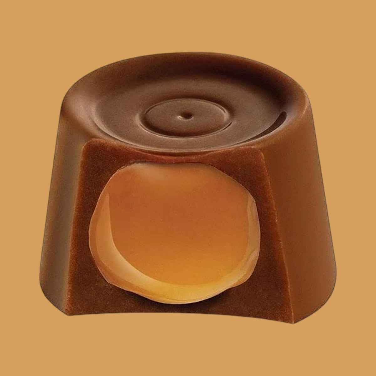 Candy Caramel Chocolates-1.5 lbs Individually Wrapped Bulk