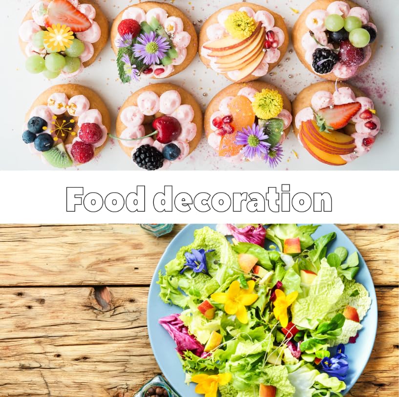 [ 6oz/170g ] Farmer Queen Premium Qualified Dried Golden Chrysanthemum Flower Herbal Tea ??