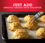Red Lobsters Cheddar Bay Biscuit Mix 11.36 oz Box w/Exit 28 Bargains Sticker