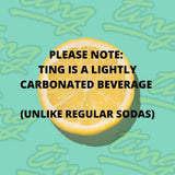 Ting Lightly Carbonated Soda, 20 Oz, (Pack of 24)