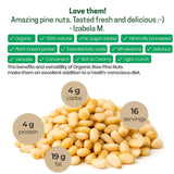Z Natural Foods Organic Pine Nuts - Raw Nutrient-Dense Superfood Packed in Airtight Foil Pouches - Pure Pine Nut for Pesto, Trail Mix, Salad & Recipes