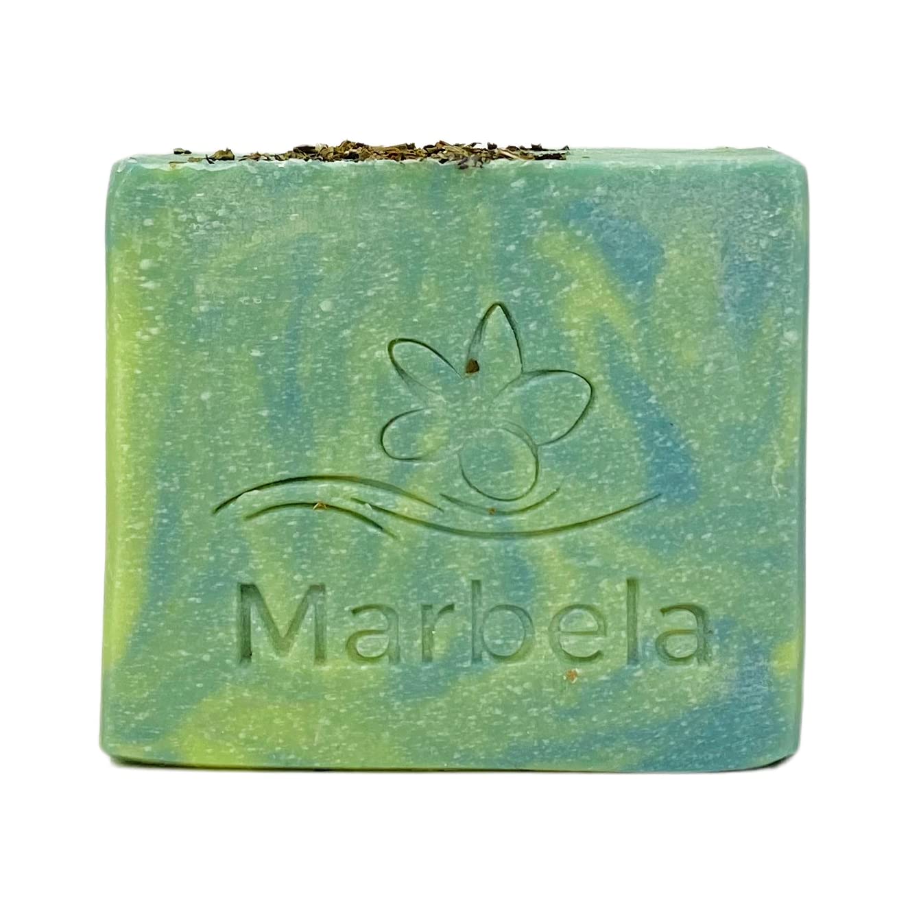 Bath & Body Works Moonlit Goddess 2 Fabric Care Fragrance Boosters with a Fresh Forest Bar Soap