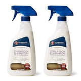 Guardsman 462600 Fabric Stain & Odor Eliminator, For Upholstery & Rugs, Removes Food Stains, Grease, Coffee, Red Wine, Blood, Pet Stains, 16 Fl Oz, 2