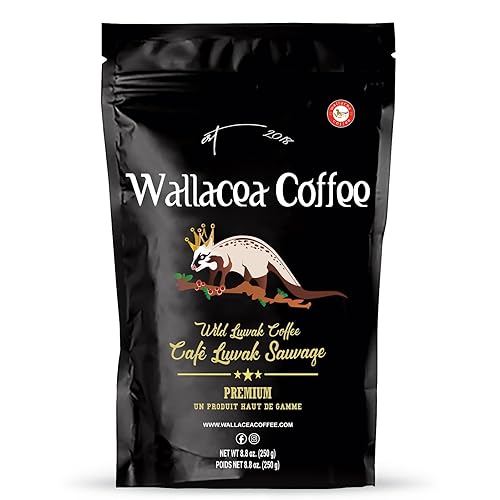 Wallacea Coffee Certified Wild Kopi Luwak Coffee Ground, Wild Civet Cat Coffee Ground, from Gayo Sumatra Indonesia 8.8 Oz (Ground)