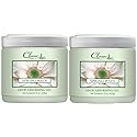 Clear Air 15oz Gel Odor Eliminator - Absorb & Remove Strong Odors from Pets, in Bathrooms, Basements, Garage, Cars, RVs & Boats - Eliminate Tough