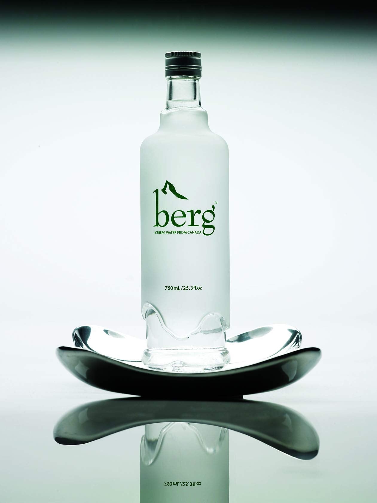 Berg Water, Sourced from Icebergs, 25.36oz (One 750ml Glass Bottle)