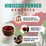 Hibiscus Powder for Hair & Face (Gudhal) - 100% Pure Hibiscus Sabdariffa Powder, Supports Fuller-Looking Hair & Fresh-Looking Skin | Non-GMO