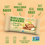 Nature's Bakery Oatmeal Crumble Bars, Apple, 6-6 Count Boxes (36 Bars), Vegan Snacks, Non-GMO