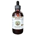 Hawaii Pharm Mullein Alcohol-Free Liquid Extract, Professional Grade, Small Batch Crafted Mullein (Verbascum densiflorum) Dried Flower Glycerite