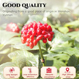 JINQI Pseudo-Ginseng Slices Tea Tianqi Sanqi- ??? ???4.23oz/120g, Panax Notoginseng Radix Notoginseng, Holiday Gifts, Tea Gifts
