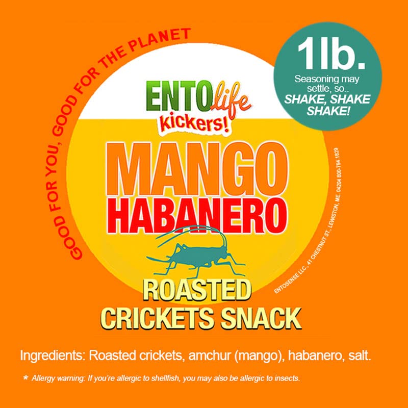 Mango Habanaro Flavored Edible Crickets - Pound Size - Pound Size - Crickets you can eat - Farm raised for human consumption, 16 Ounce