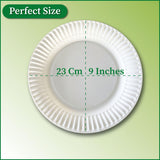 A1-Homes 9 Inch Paper Plates Uncoated 100 Count, Disposable White Paper Plates, For Everyday Breakfast, Lunch, Dinner, & Events