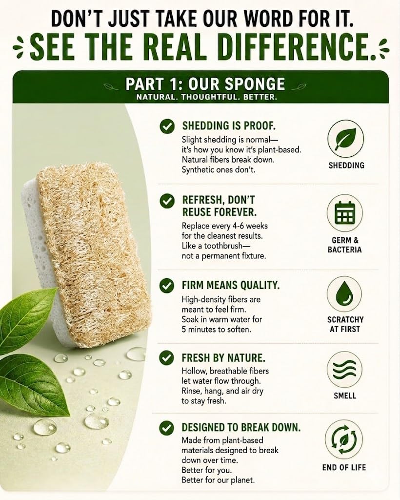 Eco Kitchen Sponges - Plant Based Cellulose & Natural Loofah Scrub Sponge - Biodegradable Dish Sponge - 6 Pack - by Janté Co.