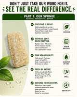 Eco Kitchen Sponges - Plant Based Cellulose & Natural Loofah Scrub Sponge - Biodegradable Dish Sponge - 6 Pack - by Janté Co.