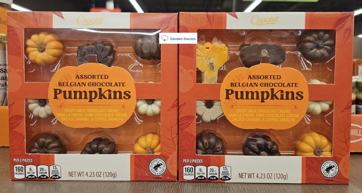 Choceur Limited Edition Assorted Belgian Chocolate Pumpkins Box 4.23oz 120g (Two Boxes)