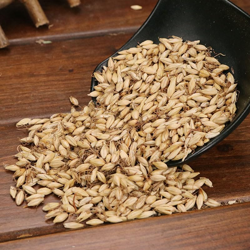 Zercumm Raw Malt 500G Barley Malt Fried Malt Light Wheat Huai Wheat Sulfur-Free