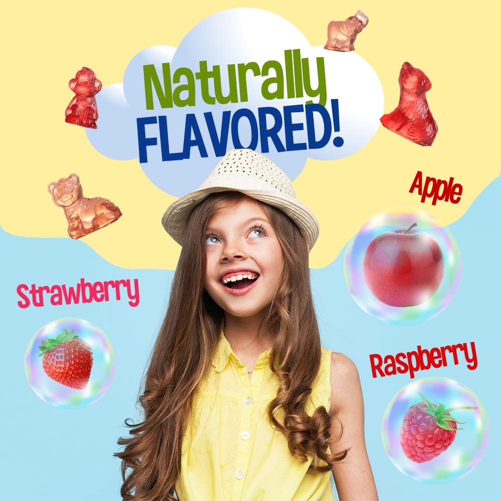 Fruit Snacks 3D Animals Gummy Candy Gift Box Snack, Kosher, Naturally Flavored, Made With Real Concentrated Fruit Juice, No Artificial Colors or