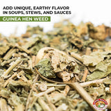 Angel Brand Guinea Hen leaves Tea - 0.5 oz Pouch Pack of 3 Sourced From Lush Tropics, Discover Potent & Versatile Qualities of Our Premium Anamu Plant