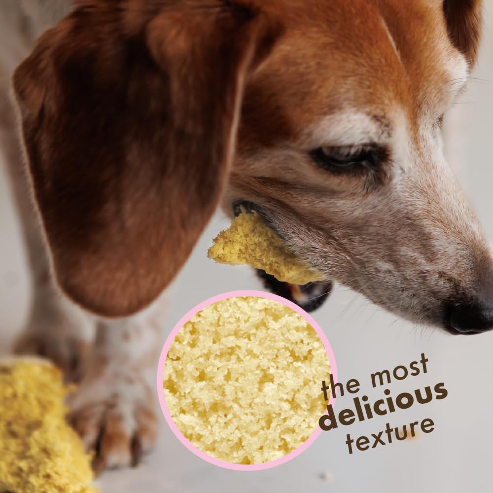 Puppy Cake Dog Birthday Cake Kit - Cake Mix, Icing Mix, Candle and Swirl Tri Color Silicone Pan, Birthday Cake Flavor - Bake or Microwave - Perfect for Celebrating Your Dog’s Special Day - Made in USA