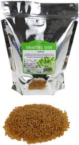 Handy Pantry Organic Kamut Seeds - 1 Lb - Ancient Khorasan Grain for Sprouting, Flour, Baking, Beer, Storage