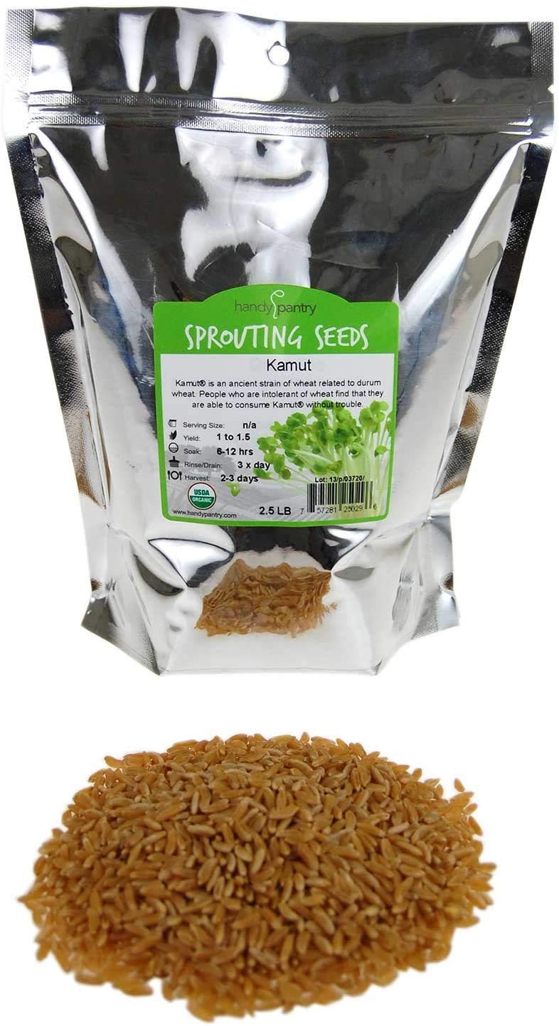 Handy Pantry Organic Kamut Seeds - 1 Lb - Ancient Khorasan Grain for Sprouting, Flour, Baking, Beer, Storage