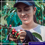 Alto Grande Arabica Coffee Espresso Single-Serve Capsules for Nespresso Original Brewers, 60 Count