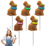 Fruidles Easter Bunny Lollipops Suckers, Colorful Easter Eggs, Fat-Free - Individually Wrapped Easter Pops (Pack of 36)