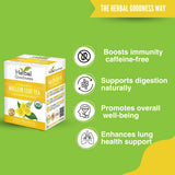 Mullein Leaf Tea - Organic Mullein Tea Bags For Lungs, Respiratory Health, Digestive System, Immune System, Supports Overall Health, 24 Mullein Tea