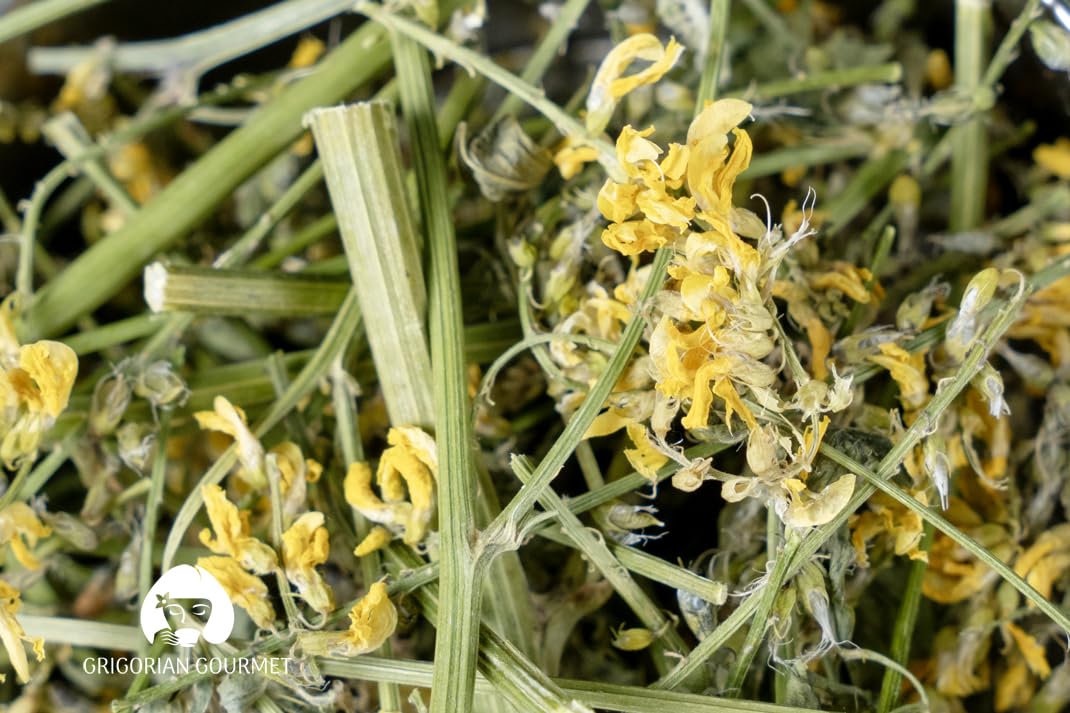 Yellow Sweet Clover (Melilotus officinalis), 1 OZ (30g) | Wild-Harvested Herbal Tea from Armenia's Lori Region | Premium Natural Dried Flowers