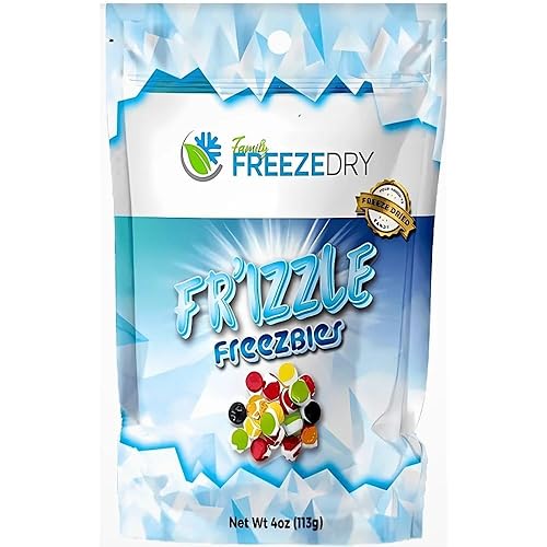 Fun Express Family Freeze Dry Fr’izzle Freezbies