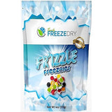 Fun Express Family Freeze Dry Fr’izzle Freezbies