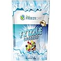 Fun Express Family Freeze Dry Fr’izzle Freezbies