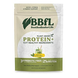 BBfL Plant-Based Protein Shake - 21g Vegan Protein, Matcha + Apple Cider Vinegar, Prebiotics, Digestive Enzymes, Adaptogens for Stress & Mood Support