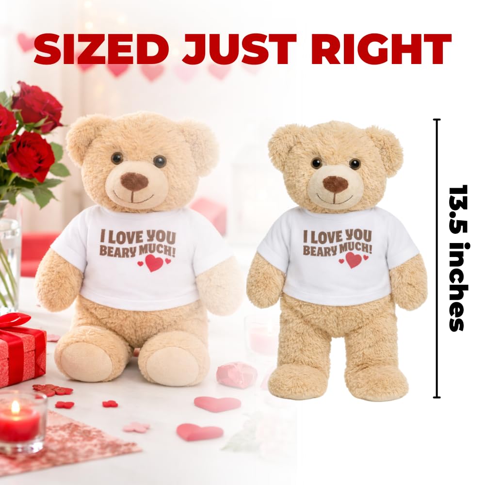 Movie Night Popcorn and Candy Gift Basket - Plus 13.5 Inch Plush Teddy Bear Custom T-Shirt - Perfect for a Cozy and Fun Evening at Home or the Theater