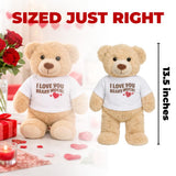 Movie Night Popcorn and Candy Gift Basket - Plus 13.5 Inch Plush Teddy Bear Custom T-Shirt - Perfect for a Cozy and Fun Evening at Home or the Theater