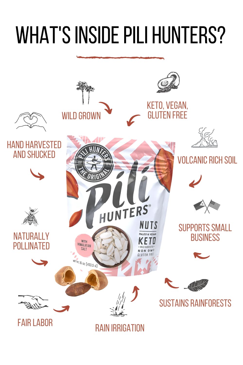 Pili Hunters - Wild Sprouted Pili Nuts, Himalayan Salt (1 lb Bag) Keto/Paleo/Vegan Snacks, Low Carb Energy, Gluten Free, No Sugar Added, Superfood