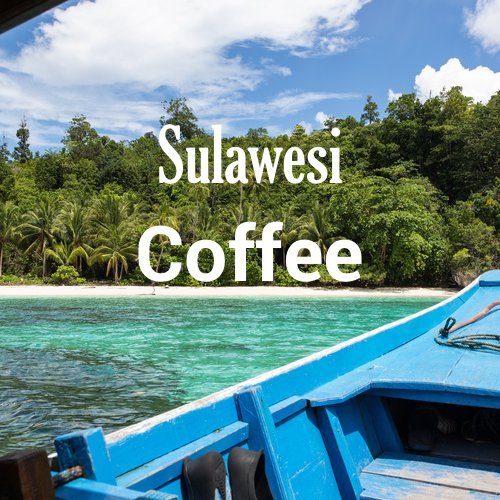 Sulawesi Coffee, Celebes Kalossi, Whole Bean, Fresh Roasted, 16-ounce