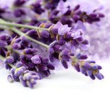 OliveNation Premium Lavender Extract from Natural Flavors, Light Floral Flavoring for Baked Goods, Beverages, Sauces, Non-GMO, Kosher, Vegan - 32 oz