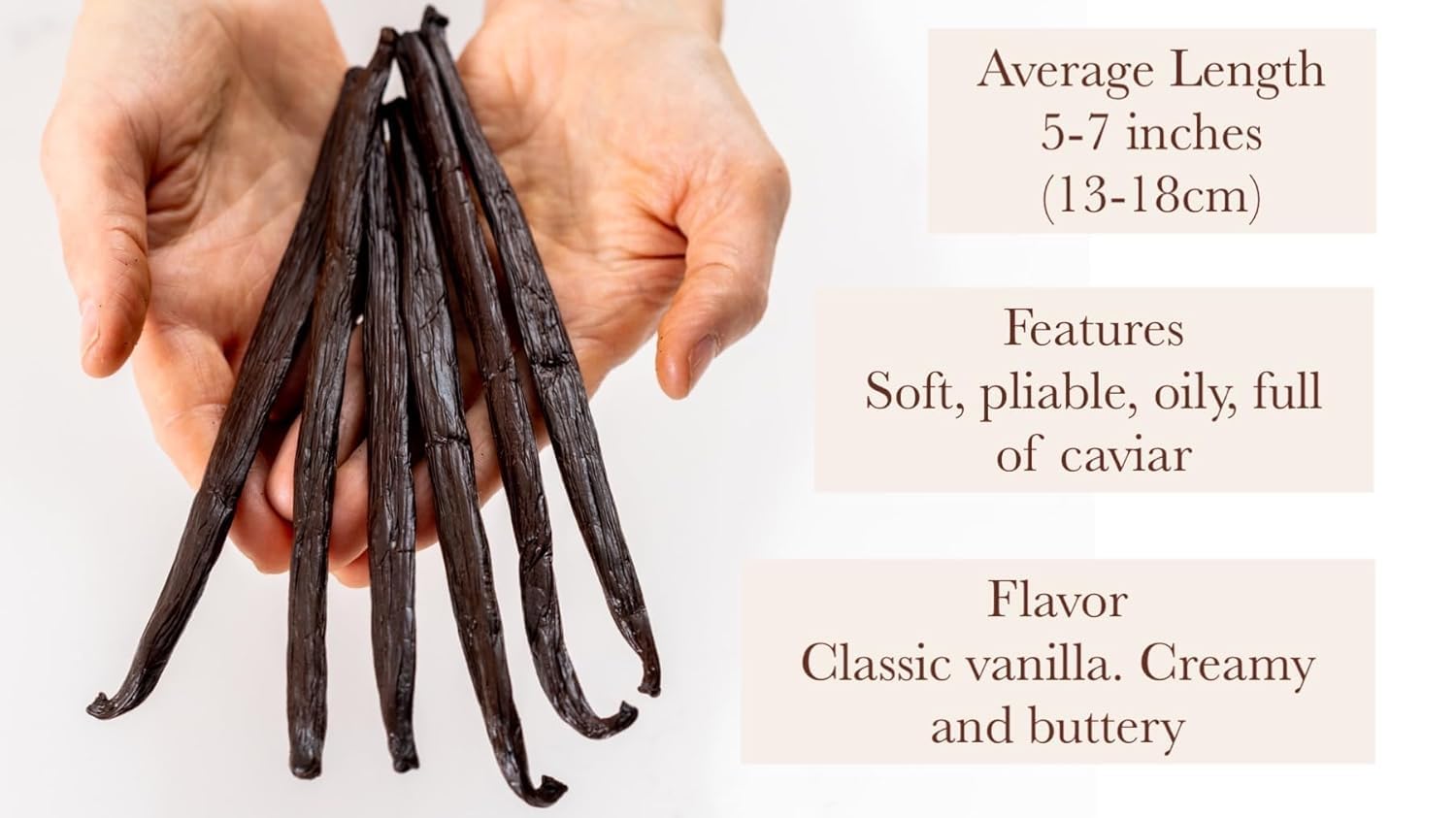 Madagascar V. Planifolia Vanilla Beans - Gourmet Grade A - Vacuum Packaged - For At-Home Vanilla Extract Making, Brewing & For Use in Baking (2